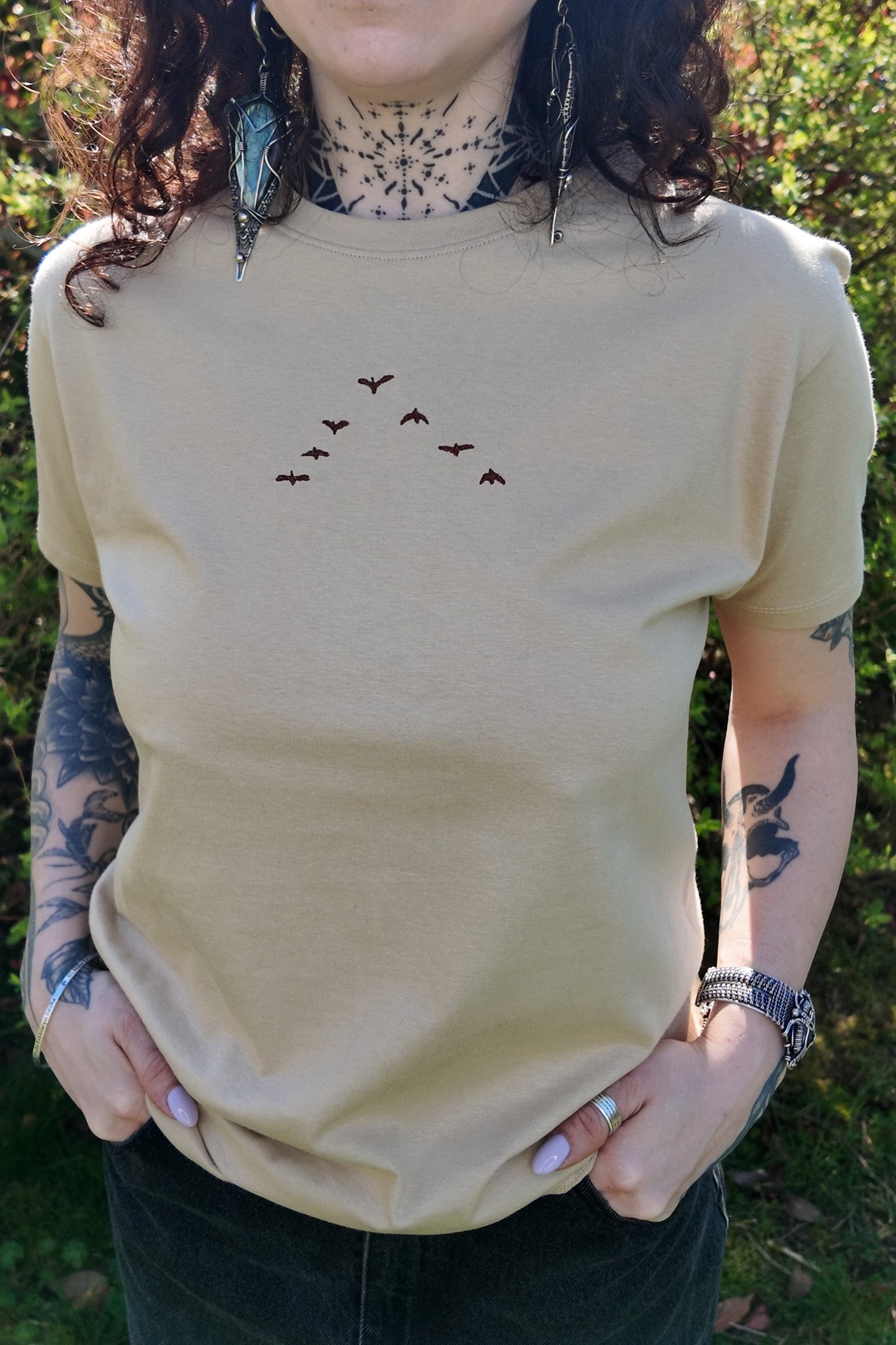 Les oiseaux migrateurs